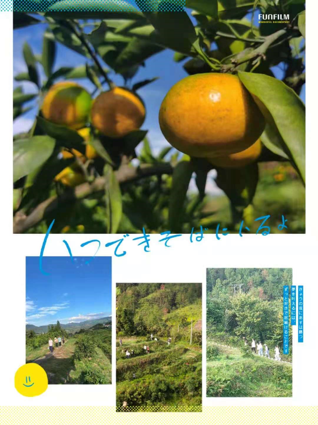 1631356020115579.jpg 1.jpg